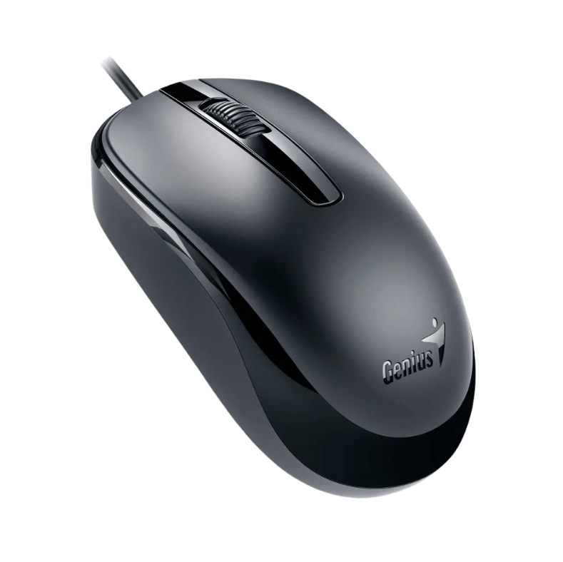 Mouse Genius DX-120 USB Alambrico Negro Calm Black